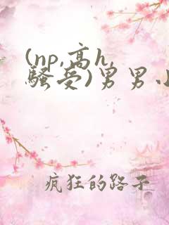 (np,高h,骚受)男男小说