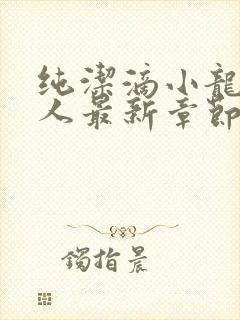 纯洁滴小龙捞尸人最新章节更新