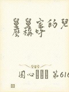 舅舅家的儿子怎么称呼