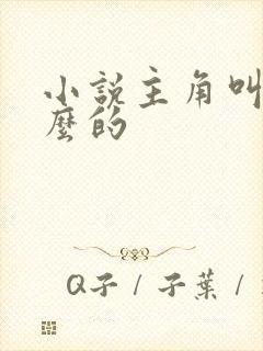 小说主角叫沈什么的