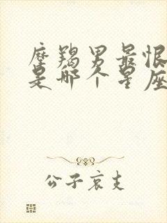 摩羯男最恨的的是哪个星座女