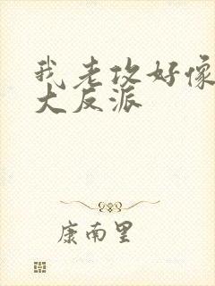 我老攻好像是个大反派