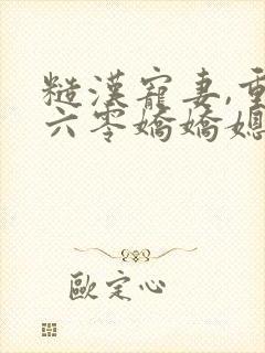 糙汉宠妻,重生六零娇娇媳txt下载