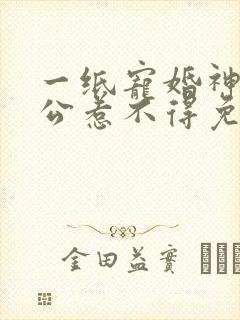 一纸宠婚神秘老公惹不得免费阅读全文