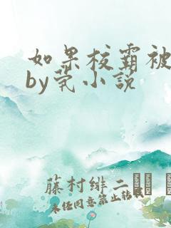 如果校霸被欺负by茕小说