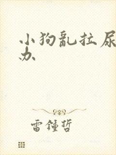 小狗乱拉尿怎么办