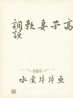 调教妻子高h小说