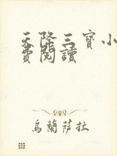 天降三宝小说免费阅读