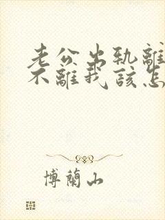 老公出轨离婚他不离我该怎么办