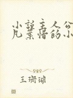 小说主人公叫林凡叶惜的小说