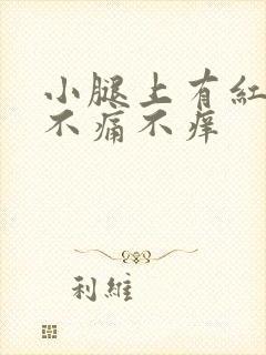 小腿上有红点点不痛不痒