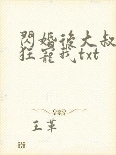 闪婚后大叔每天狂宠我txt