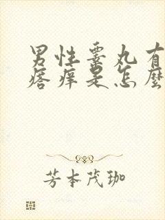 男性睾丸有小疙瘩痒是怎么回事