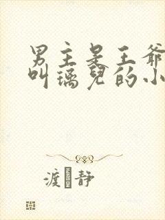 男主是王爷女主叫璃儿的小说