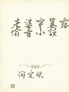 老婆穿暴露别人偷看小说