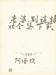 老婆,别这样txt全集下载 完整版