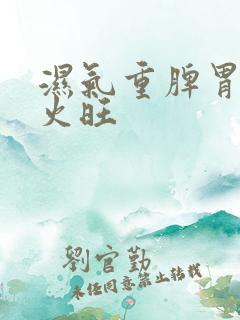 湿气重脾胃虚肝火旺