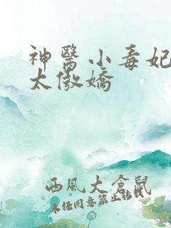 神医小毒妃皇叔太傲娇