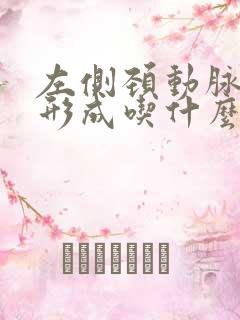 左侧颈动脉斑块形成吃什么药