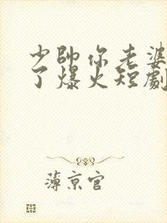 少帅你老婆又跑了爆火短剧