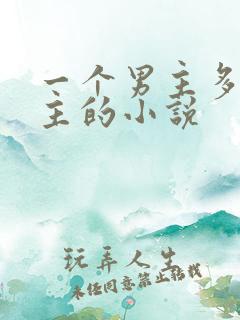 一个男主多个女主的小说