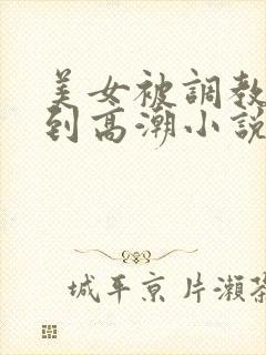 美女被调教开发到高潮小说
