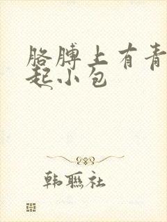 胳膊上有青色凸起小包