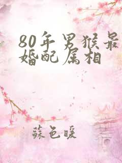 80年男猴最佳婚配属相