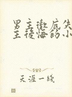 男主彻底失去女主后悔的小说