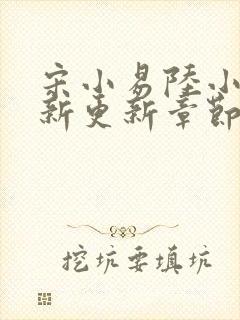 宋小易陆小婷最新更新章节笔趣阁