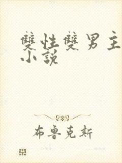 双性双男主高h小说