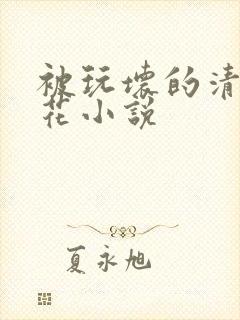 被玩坏的清纯校花小说