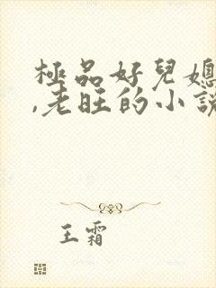 极品好儿媳秦雨,老旺的小说免费阅读全文