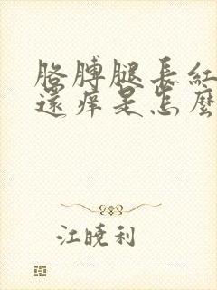 胳膊腿长红疙瘩还痒是怎么回事