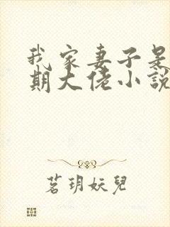 我家妻子是大乘期大佬小说