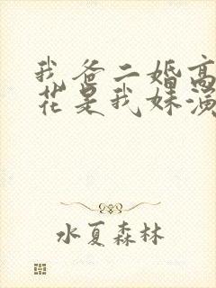 我爸二婚高冷校花是我妹演员表