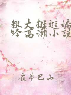 粗大挺进娇喘呻吟高潮小说