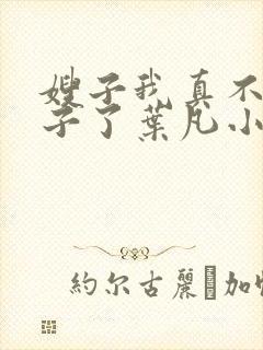 嫂子我真不是傻子了叶凡小说最新章节精校版