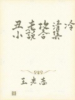 丑老攻清冷美人小说合集