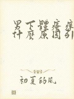 男下体瘙痒是由什么原因引起的