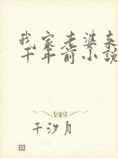 我家老婆来自一千年前小说全文免费阅读