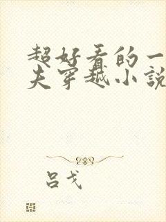 超好看的一女多夫穿越小说