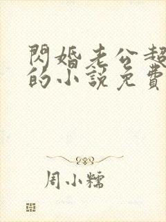 闪婚老公超有钱的小说免费阅读全文