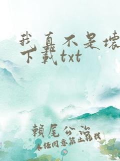 我真不是坏男人下载txt