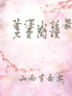 萧泽小说最新版免费阅读