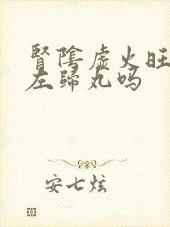 肾阴虚火旺能吃左归丸吗