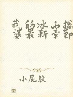 我的冰山总裁老婆最新章节