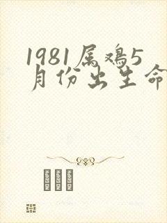 1981属鸡5月份出生命运如何