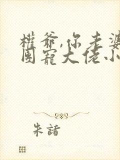 权爷,你老婆是团宠大佬小说