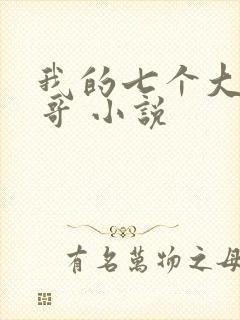 我的七个大佬哥哥 小说